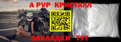 герыч Кингисепп