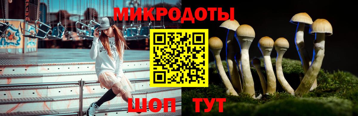 Псилоцибиновые грибы Cubensis  Галлюциногенные грибы мухоморы  Кирово-Чепецк  Вход с VPN 